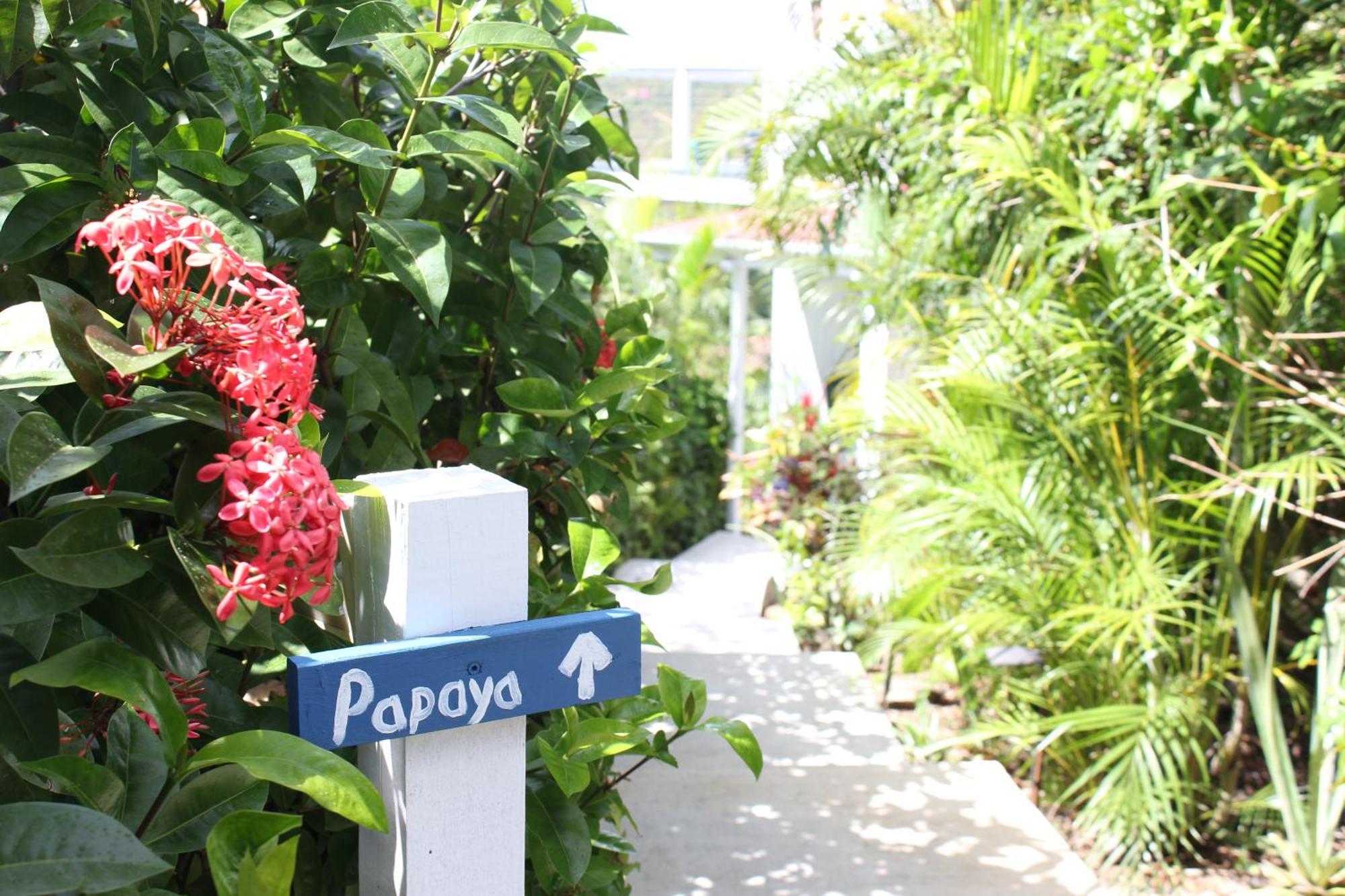 Papaya Suite At Sunset Serenade Cruz Bay 外观 照片